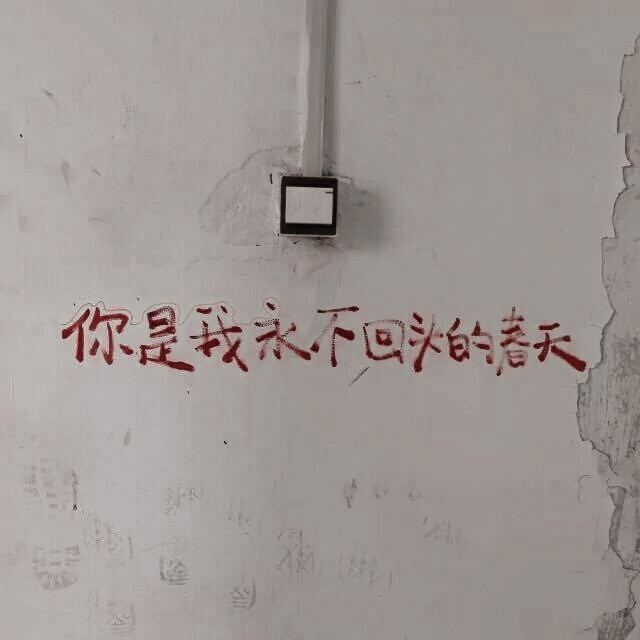  念念不忘 必有回響。