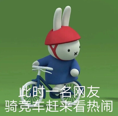 miffy
