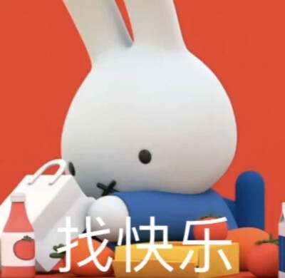 miffy
