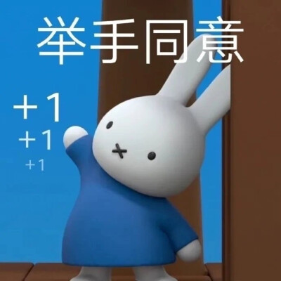 miffy
