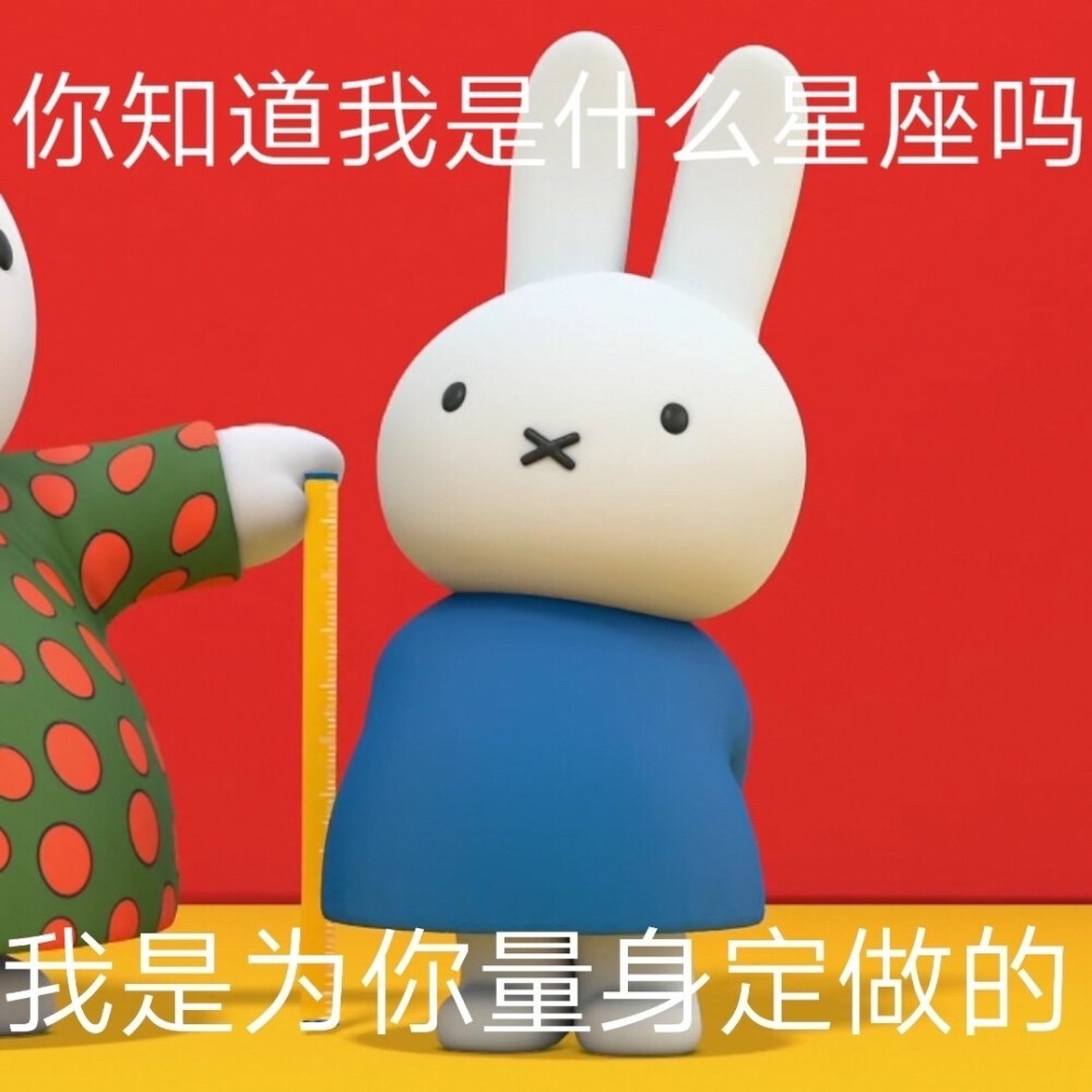 miffy
