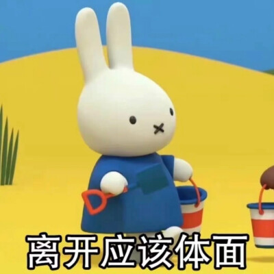 miffy