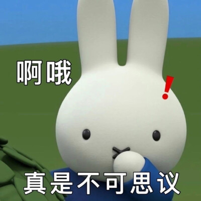 miffy