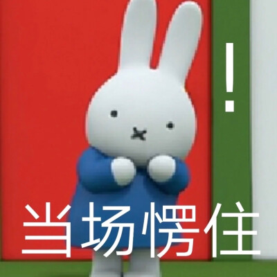 miffy