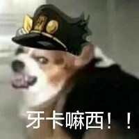 jojo表情包 空条承太郎