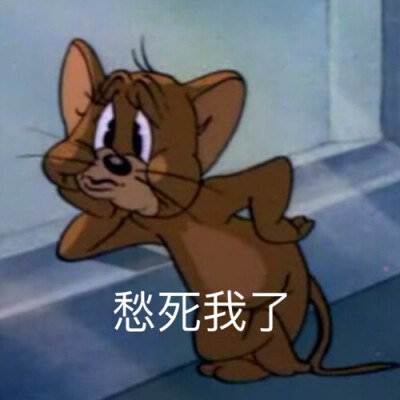 猫和老鼠表情包