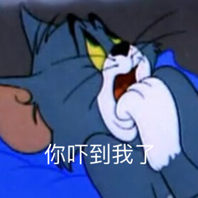 猫和老鼠表情包