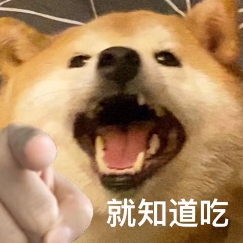 柴犬表情包