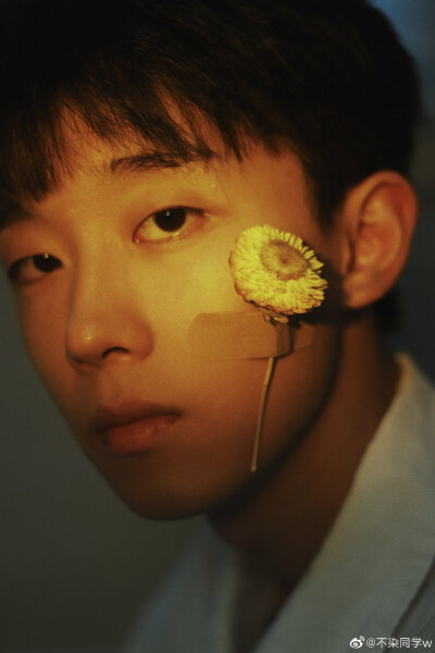 王不染（王磊）