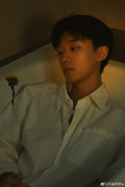 王不染（王磊）