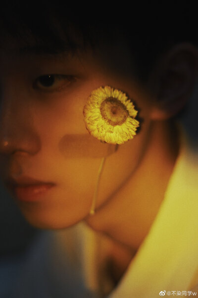 王不染（王磊）