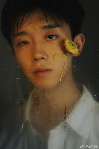 王不染（王磊）