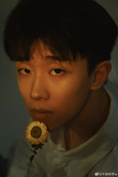 王不染（王磊）