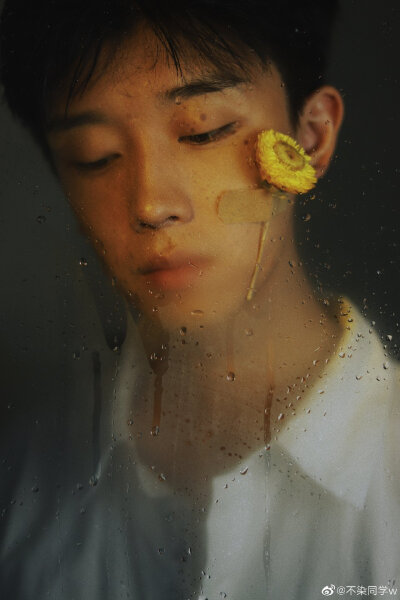 王不染（王磊）