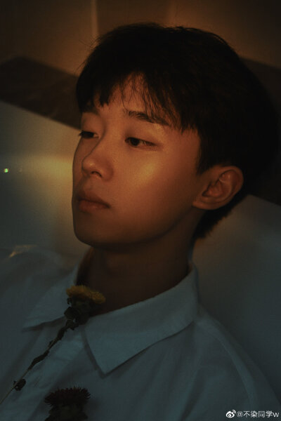 王不染（王磊）