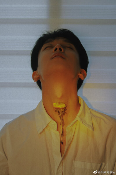 王不染（王磊）