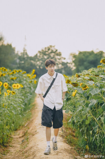 王不染（王磊）