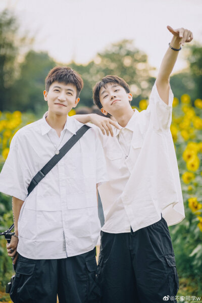 王不染（王磊）