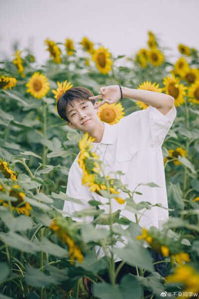 王不染（王磊）