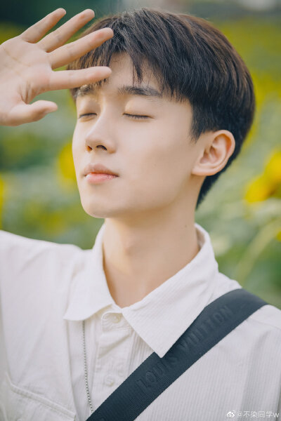 王不染（王磊）