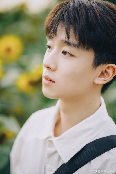 王不染（王磊）