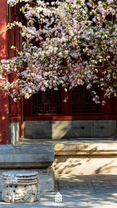 清明时节，春光依旧，东风依旧，海棠依旧。 ​—故宫博物院