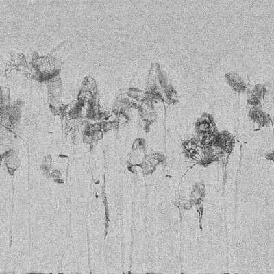 ： “ 蝴 蝶 夫 人 ”