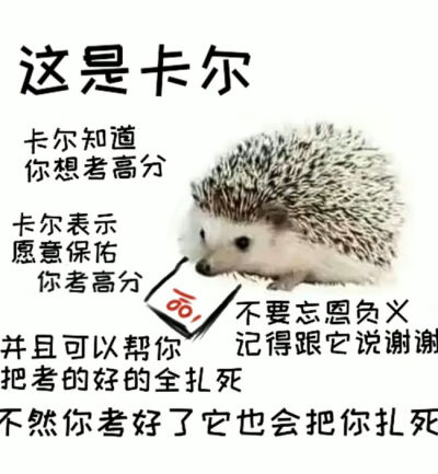 卡尔