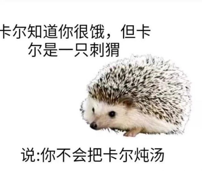 卡尔