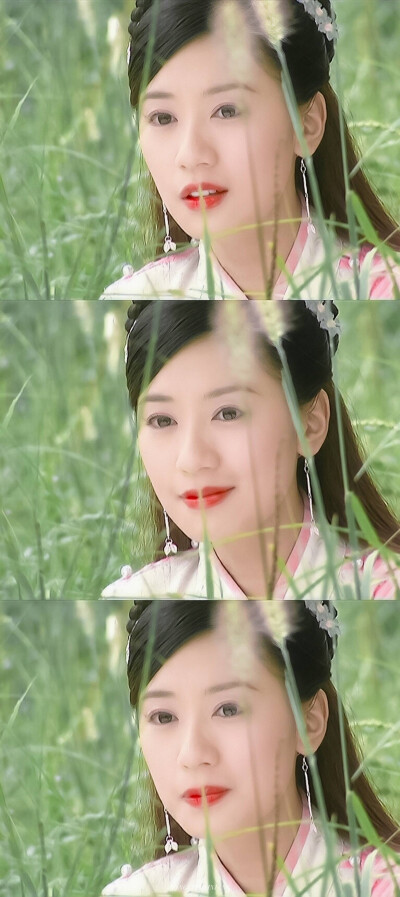 贾静雯 | 赵敏
cr:松栗芋泥酿