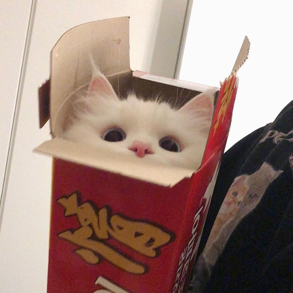 奇奇怪怪
可可爱爱
