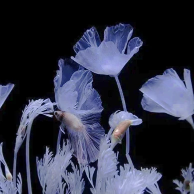 /*海神波塞冬
二转注明乔柚楠
背景图妖九