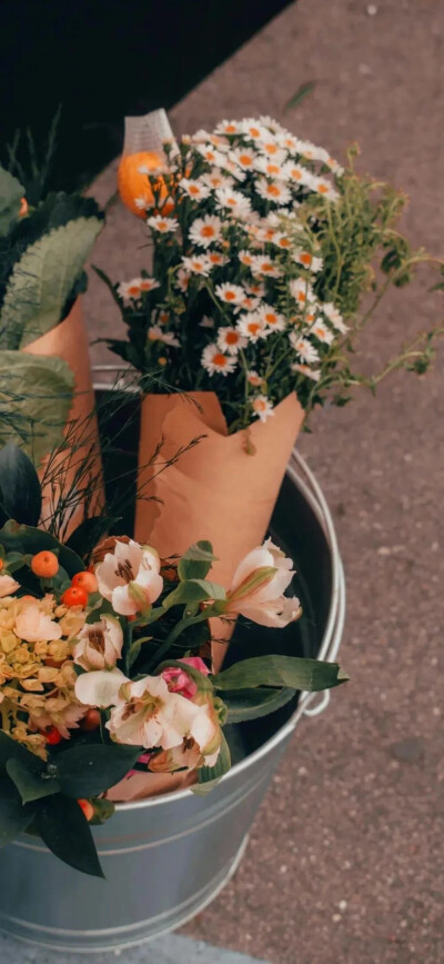 【神仙壁纸】【背景图】
别人都在种麦子，你退出去种玫瑰，你要浪漫，你不要命！
图源网络
高清图看主页