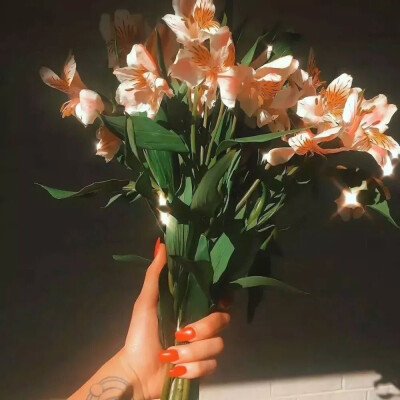 【神仙壁纸】【背景图】
别人都在种麦子，你退出去种玫瑰，你要浪漫，你不要命！
图源网络
高清图看主页