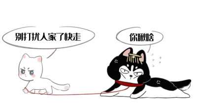 二哈和他的白猫师尊