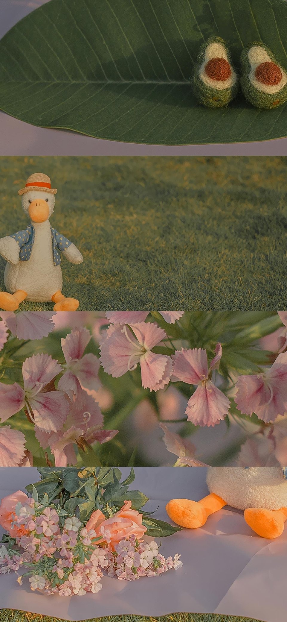 壁纸（转自微博）