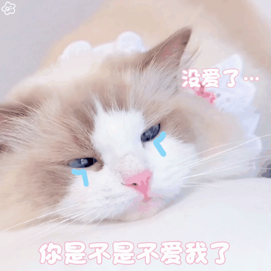 丢了睡眠