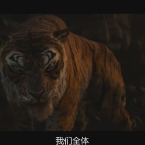 《森林之子毛克利》自截自做 拿标明出处 cr… - 高清图片,堆糖,美图