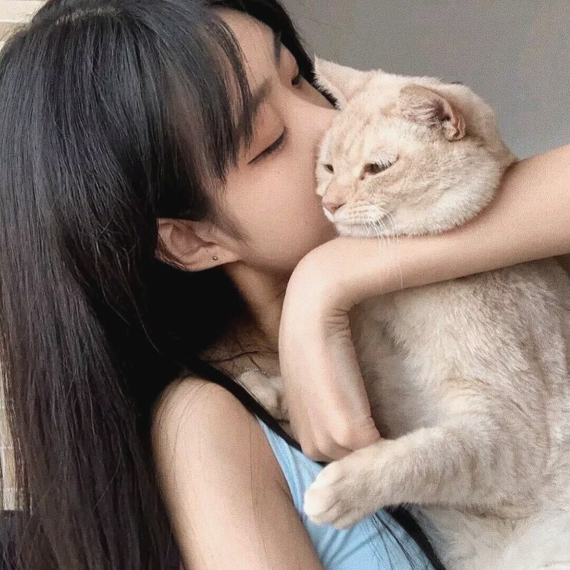 抱猫女头