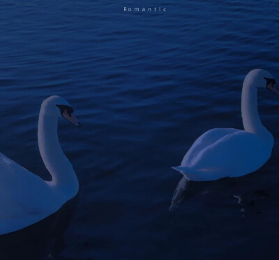 [大雾四起，偷偷藏匿，我在无人处爱你
一组干净的蓝色
图源网络
‖侵删