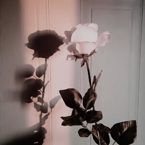    /爱上老婆的亿天


     黄礼志 yeji ITZY
许景