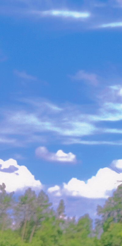 今天的壁纸（自己拍的哟~）