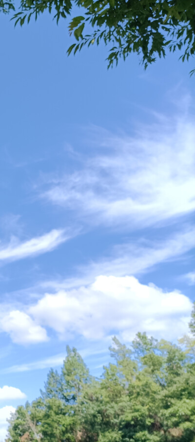 今天的壁纸（自己拍的哟~）