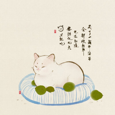 猫咪插画