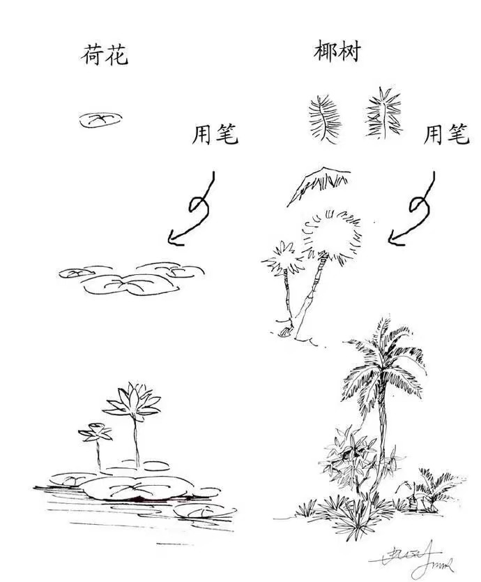 绘画素材植物