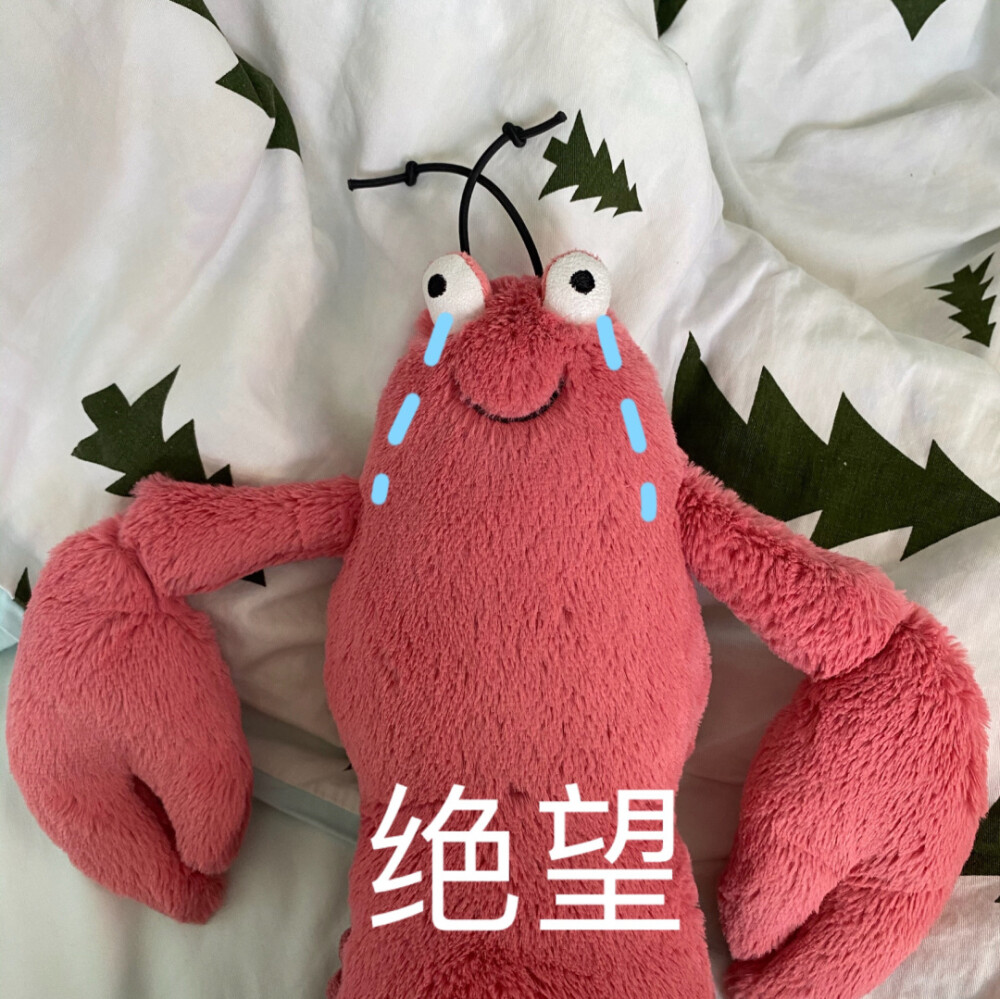 jellycat龙虾 | Larry表情包