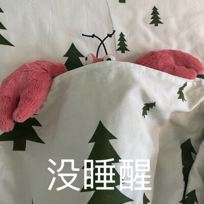 jellycat龙虾 | Larry表情包