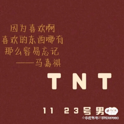 TNT时代少年团语录