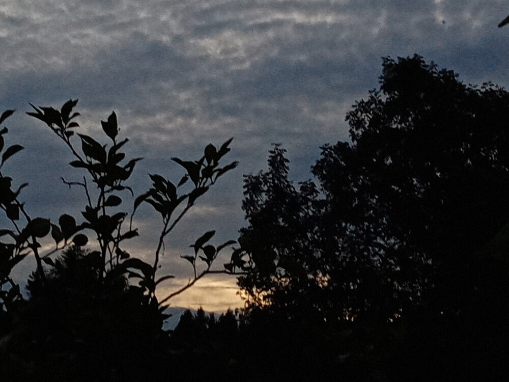 背景（天空）