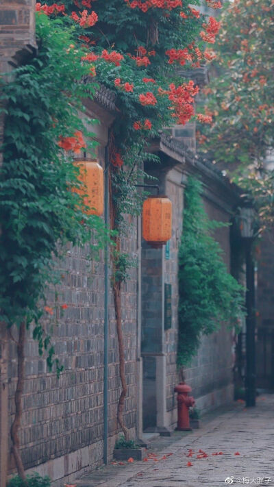 壁纸～
［侵权删］